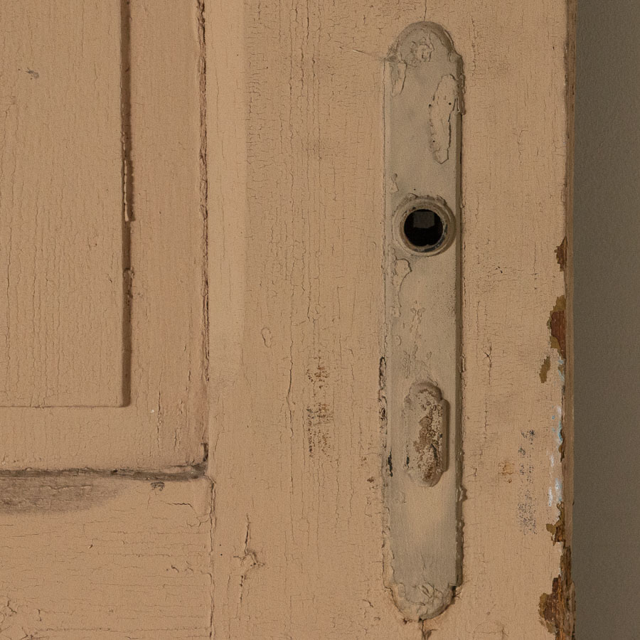 Antique Brown Painted Vintage Door, Great to Use As Sliding Interior Door